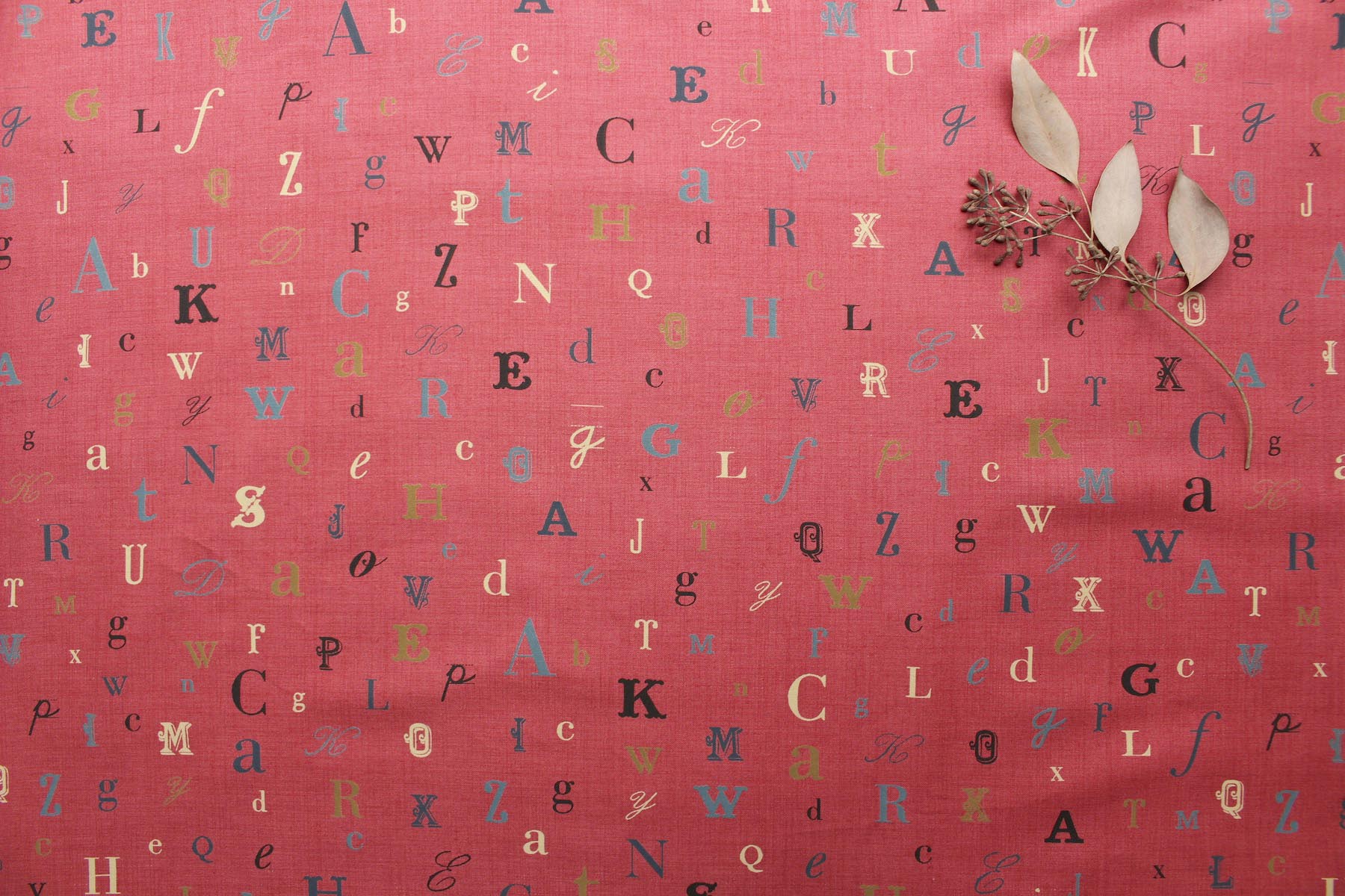 Ji La Petite Ecole ABC